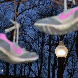 The American Landscape: The Background Story